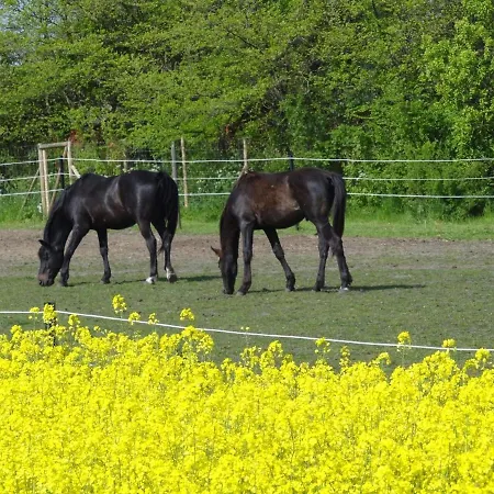 Inselidylle Saltkrokan Dom wakacyjny