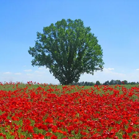 Inselidylle Saltkrokan Dom wakacyjny Fehmarn