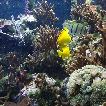 Inselidylle Saltkrokan Tatil Evi Fehmarn