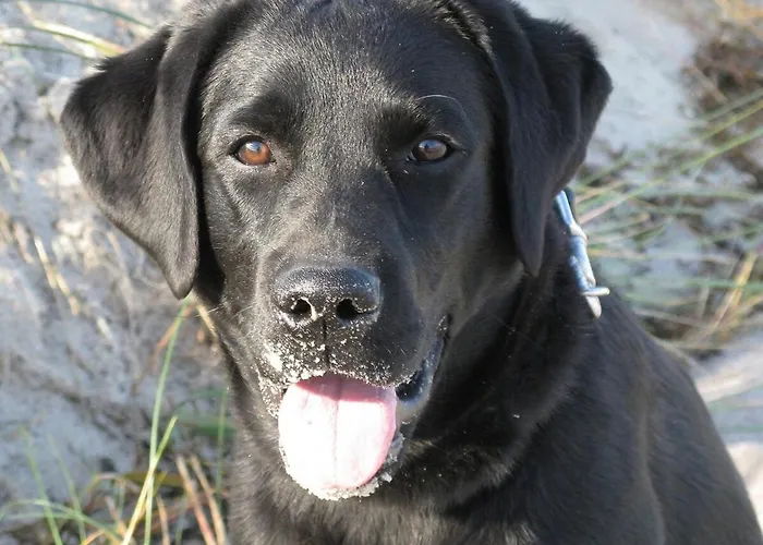 Semesterbostad Inselidylle Saltkrokan