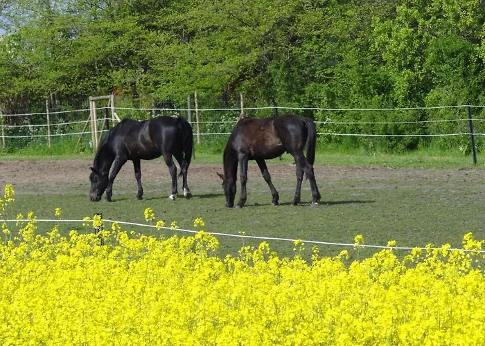 Inselidylle Saltkrokan 펜션