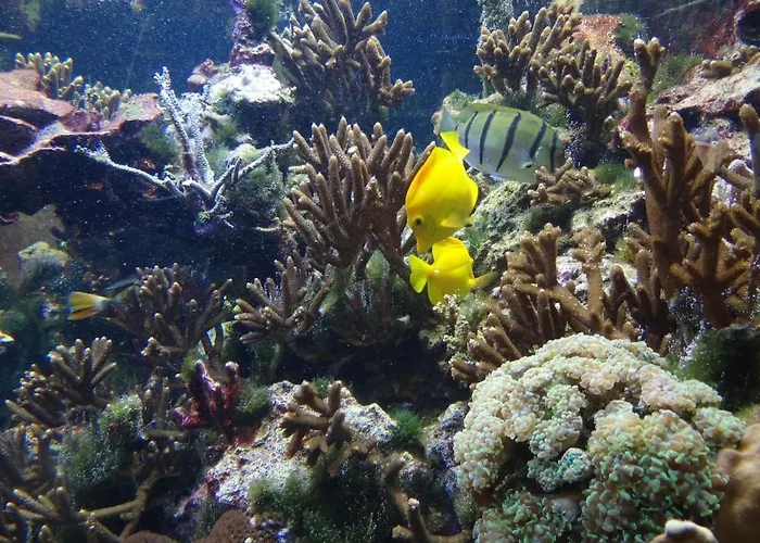 Inselidylle Saltkrokan 펜션 페마른